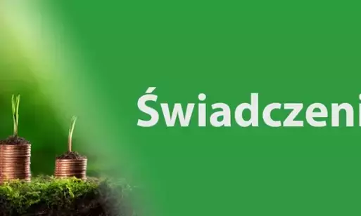 Zdjęcie do Od 1 grudnia 2024 r. nowe kwoty przychodu decydujące o zmniejszaniu lub zawieszaniu świadczeń emerytalno-rentowych