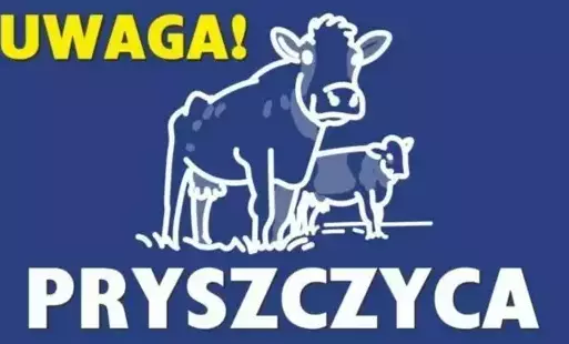 Zdjęcie do UWAGA!