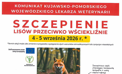 Zdjęcie do Szczepienie lis&oacute;w przeciwko wściekliźnie