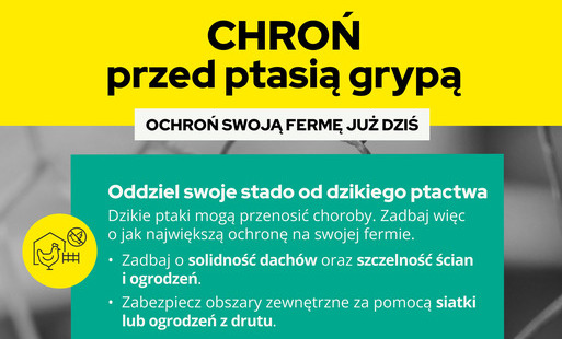 Zdjęcie do CHROŃ przed ptasią grypą